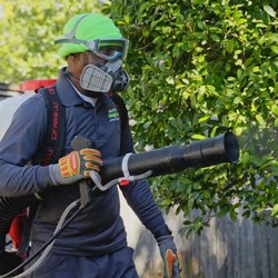 Acenitec Pest & Lawn Services