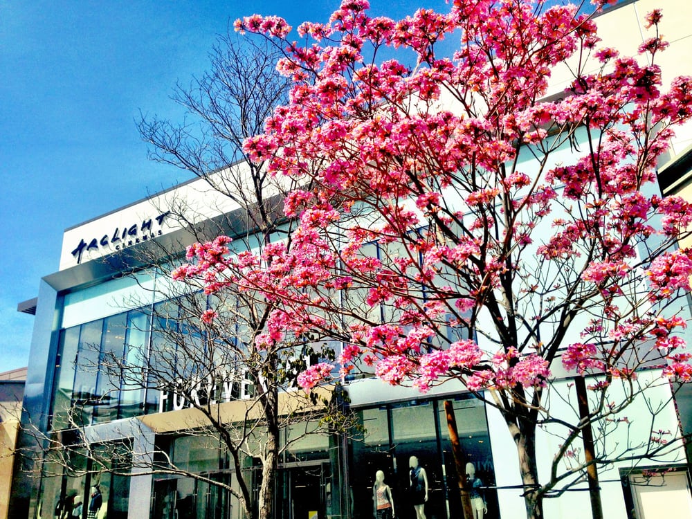 Westfield University Town Center