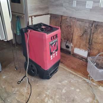 The Mold Guys - water damage remediation - Environmental Testing Near Me - Venice, Florida The Mold Guys - water damage remediation - Environmental Testing Near Me - Venice, Florida