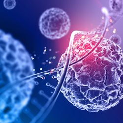 Paul Finucan, DC - Most advanced Stem cell programs for all conditions, specialzing in Sports injuries