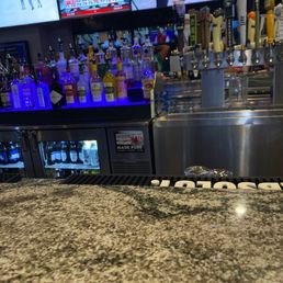 the bar counter the bar counter
