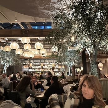 Aba - Inside - Mediterranean Near Me - Chicago, Illinois