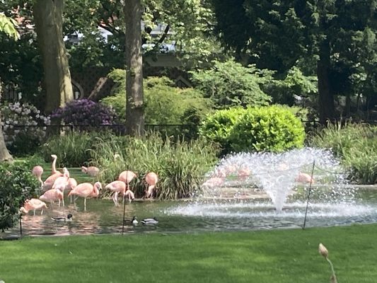 Zoo Antwerpen by null