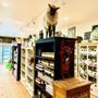 Photo of Valley Shepherd Creamery