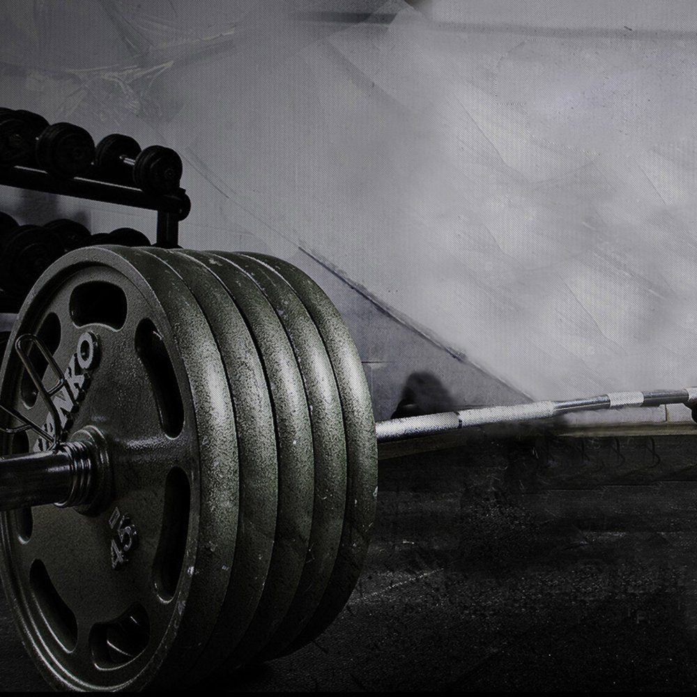 Muscle Metrics Logo