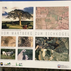 Eichkogel