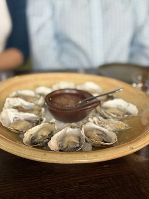 Oystercatcher by null