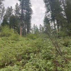 Wye Campground