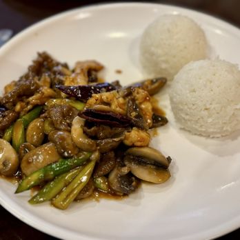 Yummy House - Spicy Yummy Combo - Dim Sum Near Me - Ocala, Florida Yummy House - Spicy Yummy Combo - Dim Sum Near Me - Ocala, Florida