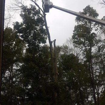 Ninja Tree Service - Tree Services Near Me - Canterbury, Connecticut Ninja Tree Service - Tree Services Near Me - Canterbury, Connecticut