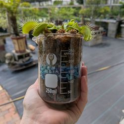 The finished gift
