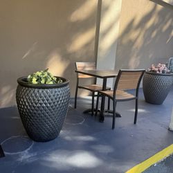Alpaca Chicken - Outside seating for dining