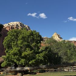 Fruita Campground - View from camp