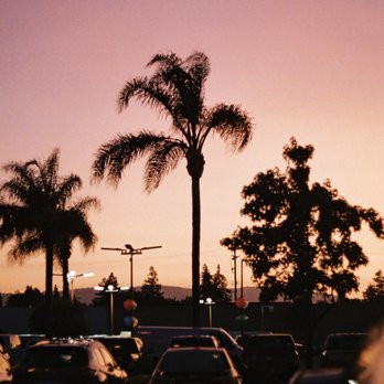 Foto Express - Photography Stores & Services Near Me - San Jose, California