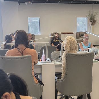 TD Nail Spa - Get your mani with a puppy - Nail Salons Near Me - St Louis, Missouri TD Nail Spa - Get your mani with a puppy - Nail Salons Near Me - St Louis, Missouri