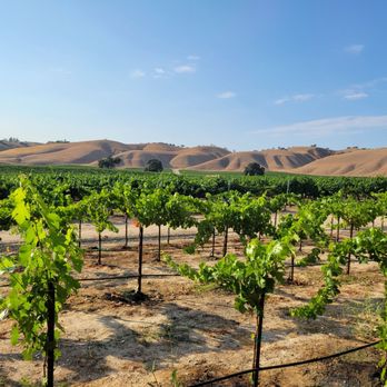 Cass Winery - Wineries Near Me - Paso Robles, California Cass Winery - Wineries Near Me - Paso Robles, California