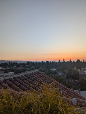 President's Terrace by null