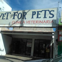 Vet for pets