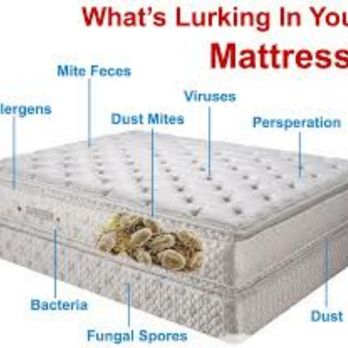 Vic's Auto Detail - After 1year your mattress Doubles in weight from filth seen in this picture. I remove ALL this filth from your mattress with my machine. - Auto Detailing Near Me - Manor, Texas Vic's Auto Detail - After 1year your mattress Doubles in weight from filth seen in this picture. I remove ALL this filth from your mattress with my machine. - Auto Detailing Near Me - Manor, Texas