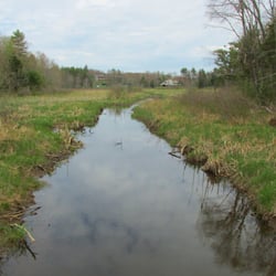 Penny Lake Preserve - Tidal creek. Turns to mud at low tide.