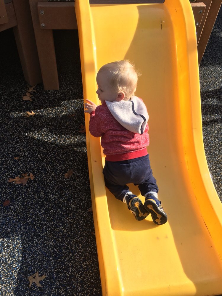 Josh's Jungle - social services organization in Hamden, CT