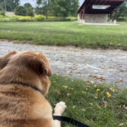Strasburg Community Park