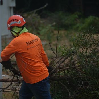 Majestic Tree Service - Tree Services Near Me - San Jose, California Majestic Tree Service - Tree Services Near Me - San Jose, California