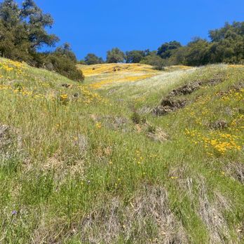 Moore Creek Park - Parks Near Me - Saint Helena, California Moore Creek Park - Parks Near Me - Saint Helena, California