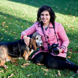 Anna's Animals - Hard at work with Sage the Basset Hound