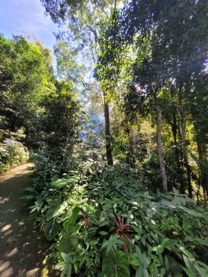 The Habitat Penang Hill by null