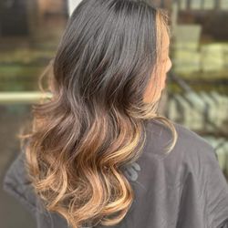 Adam Cole Salon