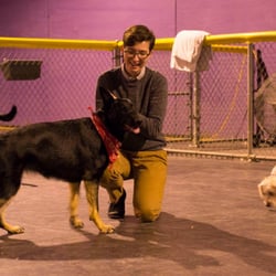 Sarah's Pet Care Revolution