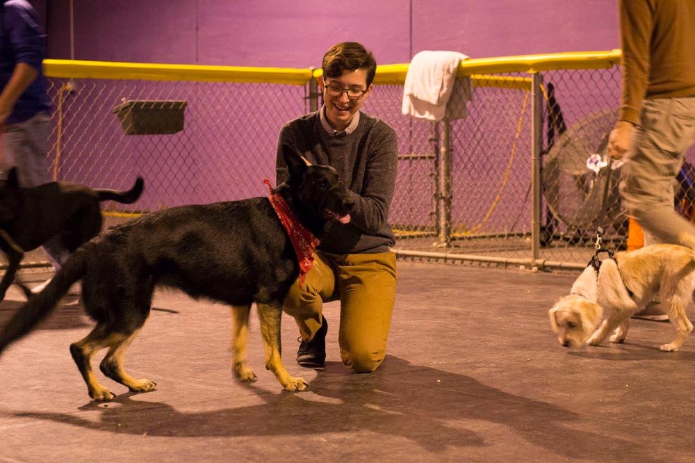 SARAH’S PET CARE REVOLUTION Updated May 2024 26 Photos & 28 Reviews