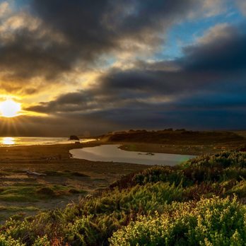 Pacific Coast Highway - Local Flavor Near Me