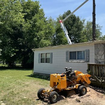 S&S Tree Service - Tree Services Near Me - New Baden, Illinois S&S Tree Service - Tree Services Near Me - New Baden, Illinois