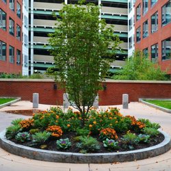 Residences at Manchester Place - Inner courtyard