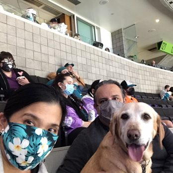 San Jose Barracuda - Family Fun! - Professional Sports Teams Near Me - San Jose, California San Jose Barracuda - Family Fun! - Professional Sports Teams Near Me - San Jose, California