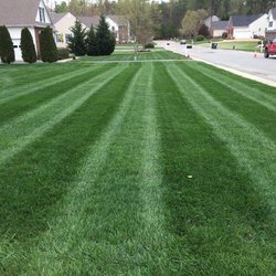Marshall's Lawn & Landscape