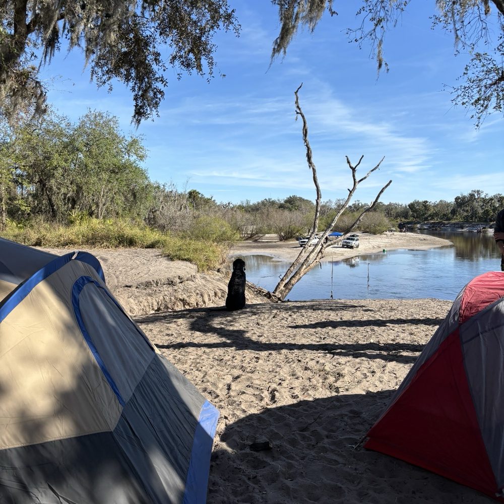 Arcadia Peace River Campground - Campgrounds Near Me - Arcadia, Florida