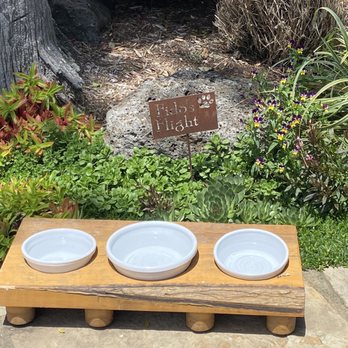 McEvoy Ranch - Pet friendly as long as your fur baby is on a leash and well behaved; I left my beagles at home LOL! - Wine Tasting Room Near Me - Petaluma, California
