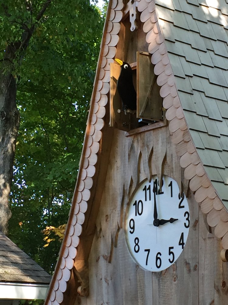 THE BIRD STORE AND MORE Updated May 2024 10 Photos 4 Cedar St