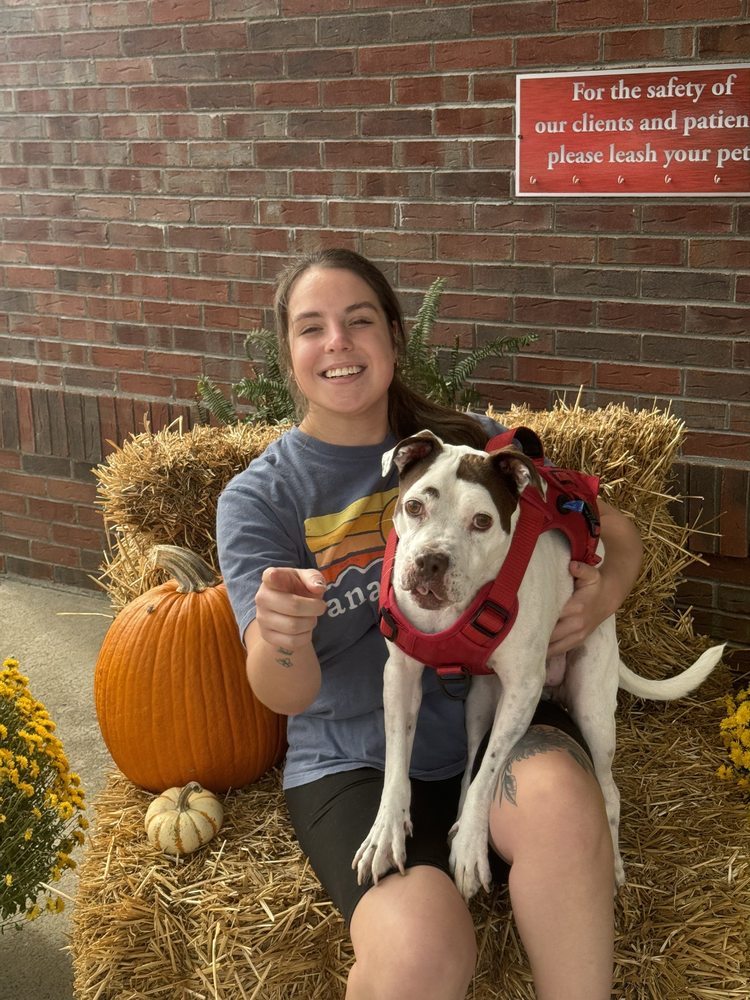 Family Pet Hospital - pet boarding facility in Clarksville, TN