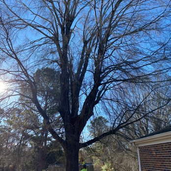 Cheap Jimm Tree Services - Tree Services Near Me - Archdale, North Carolina Cheap Jimm Tree Services - Tree Services Near Me - Archdale, North Carolina