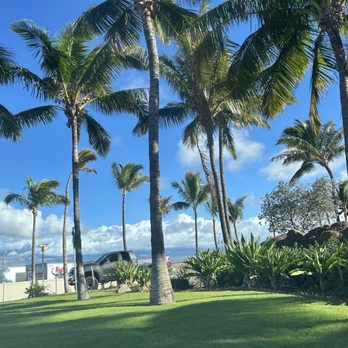 American Airlines - Airlines Near Me - Kahului, Hawaii