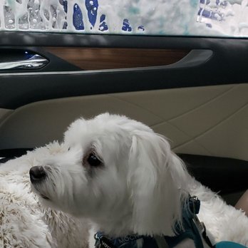 Driven Car Wash - Car Wash Near Me - Arlington Heights, Illinois