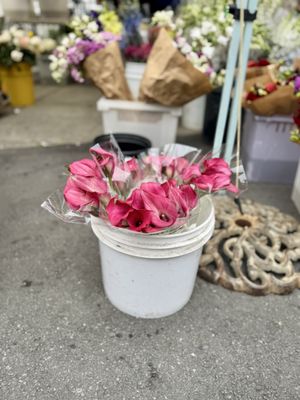 Heart of the City Farmers' Market by null