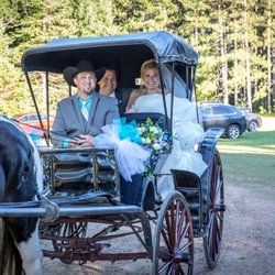 Julie Kay's Kitchen - Horsedrawn Carriage Rides are options for weddings at Tasmania- Julie Kay's Kitchen private venue in McNaughton