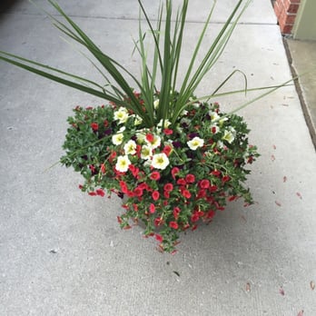 Schwartz's Greenhouse - Larger pot for the porch - Nurseries & Gardening Near Me - New Boston, Michigan