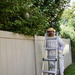 Grizz Pest Management