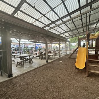 The Cove - Shaded outdoor play and seating area - Vegetarian Near Me - San Antonio, Texas The Cove - Shaded outdoor play and seating area - Vegetarian Near Me - San Antonio, Texas